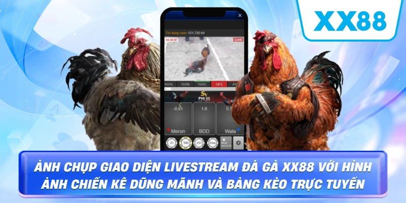 Ảnh chụp giao diện livestream Đá Gà XX88 với hình ảnh chiến kê dũng mãnh và bảng kèo trực tuyến
