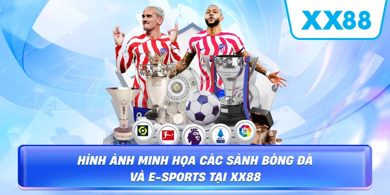 Hình ảnh minh họa các sảnh bóng đá và E-sports tại XX88